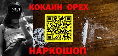 стафф Кингисепп