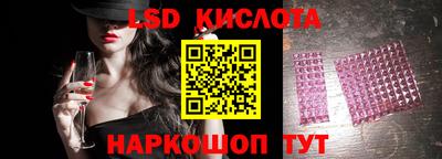 стафф Кингисепп