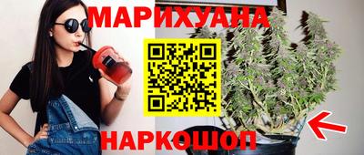 стафф Кингисепп