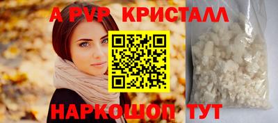 стафф Кингисепп