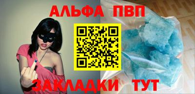 стафф Кингисепп