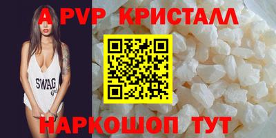 стафф Кингисепп