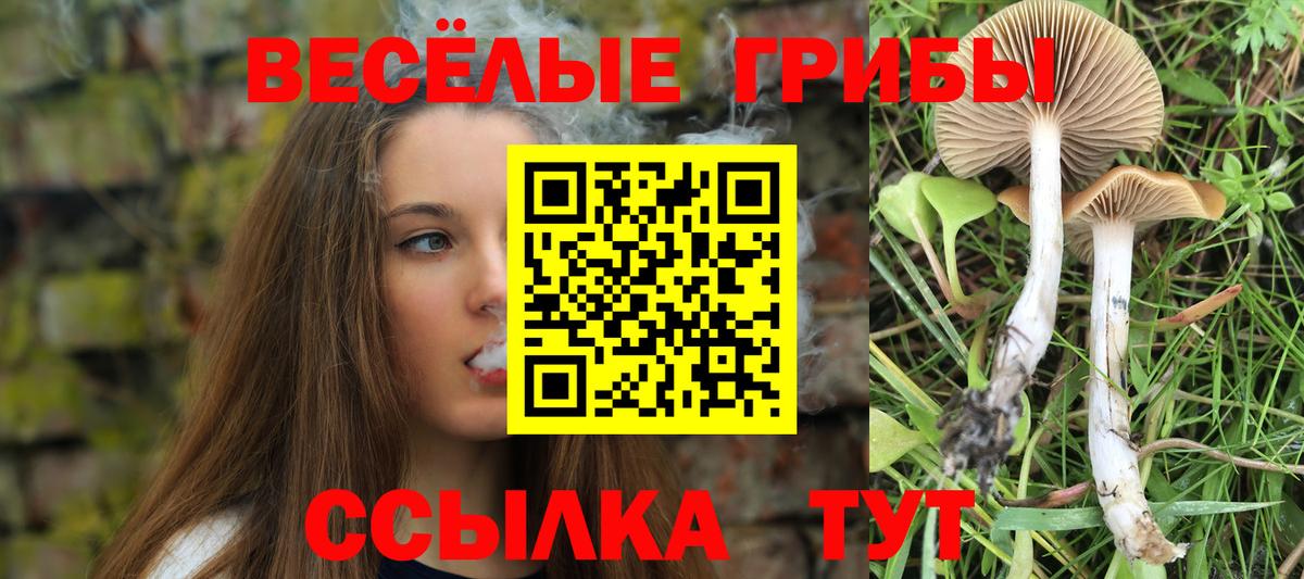 Зеленокумск  Псилоцибиновые грибы Magic Shrooms  Псилоцибиновые грибы Magic Shrooms  Вход с VPN 